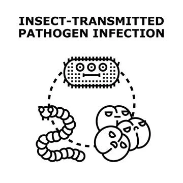 Insect transmitted pathogen infection spreading infectious disease concept Stock Illustration