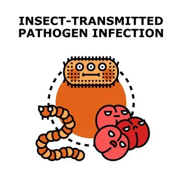 Insect transmitted pathogen infection spreading infectious disease concept Stock Illustration