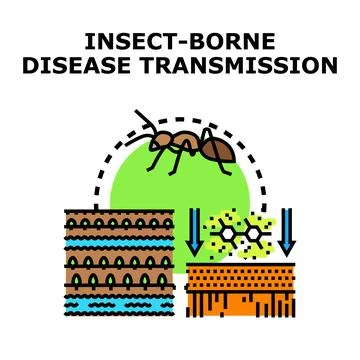 Insect transmitting disease, pathogen moving between organisms Stock Illustration