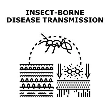 Insect transmitting disease, pathogen moving between organisms Stock Illustration