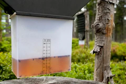 Insect trap in forest Stock Photos