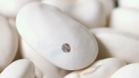 Insect tries to get out of white beans. Stock Footage 121558121