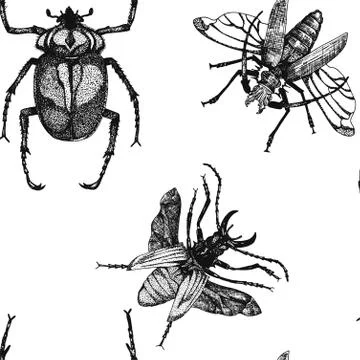 Insect vector beetle seamless pattern Stock Illustration