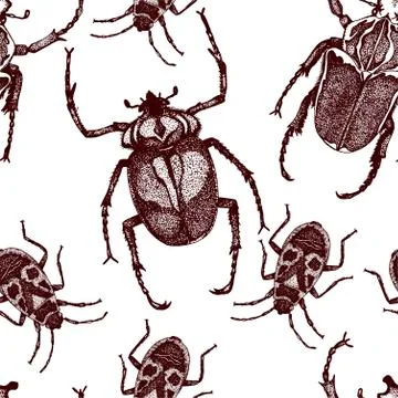 Insect vector beetle seamless pattern Stock Illustration