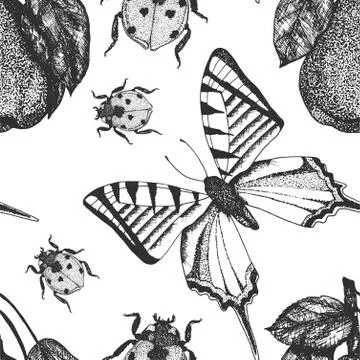 Insect vector beetle seamless pattern Illustrazione stock
