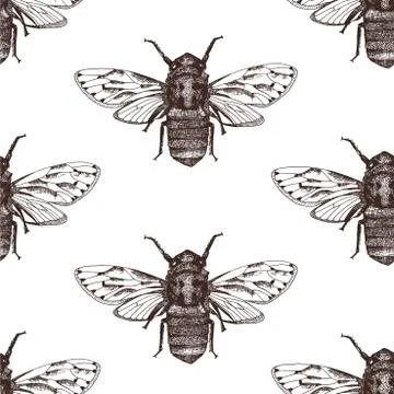 Insect vector beetle seamless pattern Stock Illustration