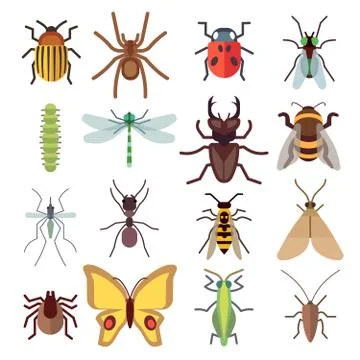 Insect vector flat icons isolated on white background Ilustração Stock