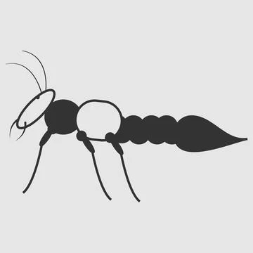 Insect vector illustration design Stock Illustration