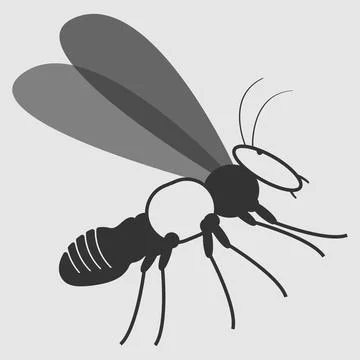 Insect vector illustration design Stock Illustration