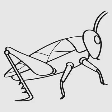 Insect vector illustration design Stock Illustration
