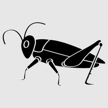 Insect vector illustration design Stock Illustration