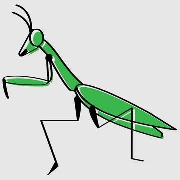 Insect vector illustration design Stock Illustration