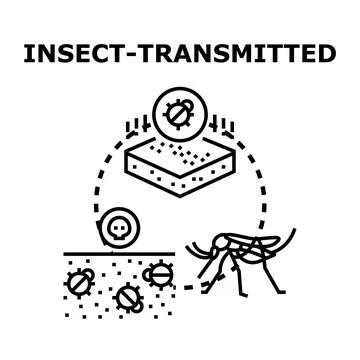 Insect vector transmitting disease and pests concept Stock Illustration