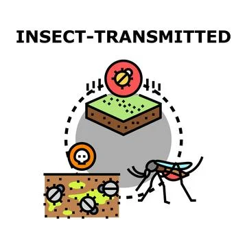 Insect vector transmitting disease and pests concept Stock Illustration
