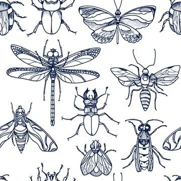 Insect. Wild bee, bug, moth, butterfly. Vector seamless pattern on white back Stock Illustration