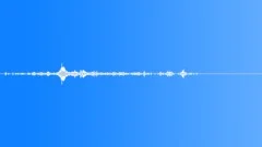 InsectHissAngry BU01.257 Sound Effect