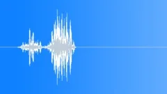 InsectHissAngry BU01.258Sound Effect