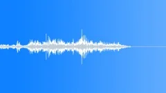 InsectHissAngry BU01.262Sound Effect