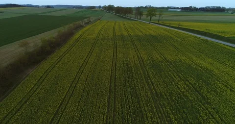 Insecticide application with a spraying machine. Adding chemical weed and Stock Footage 129763329