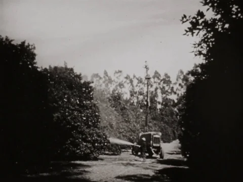 Insecticide being sprayed in field - 1950 Stock Footage 94447074