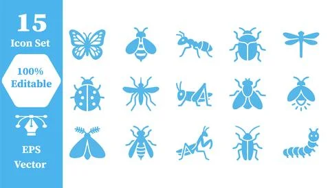 Insects and bugs nature flat vector icon set with entomology wildlife creatur Stock Illustration