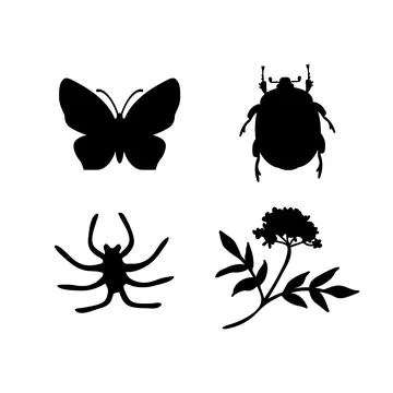 Insects and flower Illustrazione stock