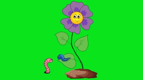 Insects and flower tree dancing Animation with green background Video stock 324864667