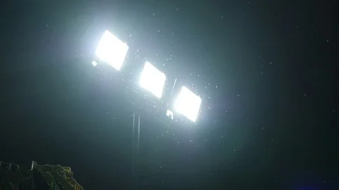 Insects around fluorescent white lamppost, 4k, slow motion Stock Footage 82886087