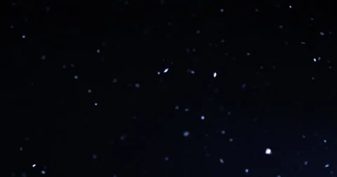 Insects attracted to bright light Stock Footage 169560622