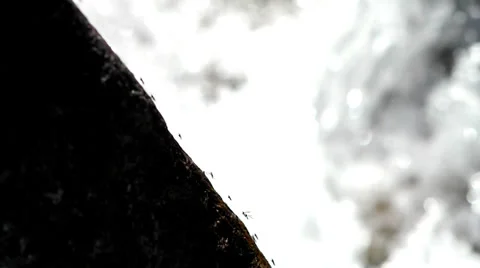 Insects on a background of water flow. Stock Footage 39509663