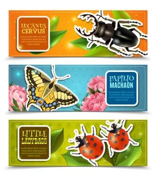 Insects Banners Set Stock Illustration