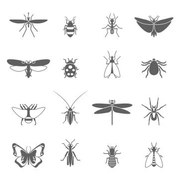 Insects Black Icons Set Stock Illustration