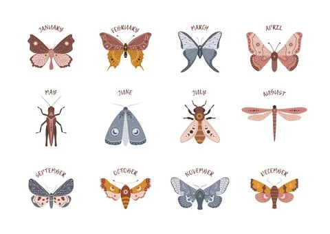 Insects in boho style with months. Alchemy esoteric symbols. Celestial elements イラスト素材