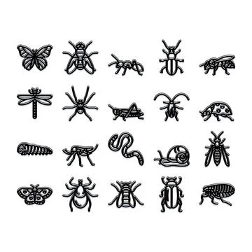 Insects bugs animals set outline icon design Illustrazione stock