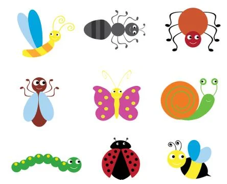 Insects bugs Stock Illustration