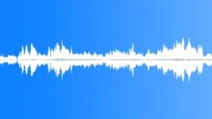 Insects buzzing 02Sound Effect