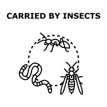 Insects carrying object vector icon black illustration Stock Illustration