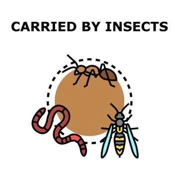 Insects carrying object vector icon color illustration Stock Illustration