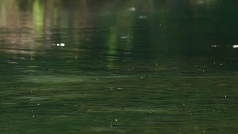 Insects dancing over calm water Stock Footage 318538231