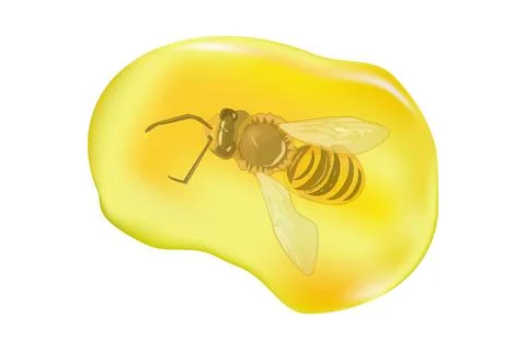 Insects in drop of amber isolated on white background. Fossilised tree resin. Stock Illustration