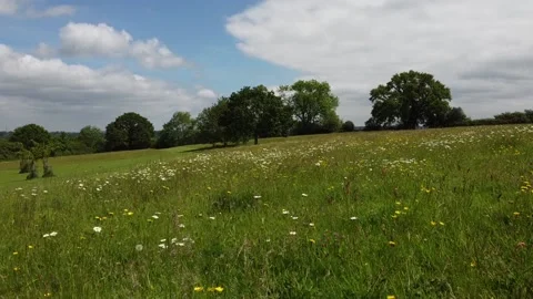 An insects eye view flying over a summer meadow filmed by a drone Stock Footage 155348512