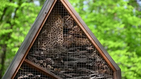 Insects fly in and out of the bug hotel. insect house in the park Stock Footage 331247352