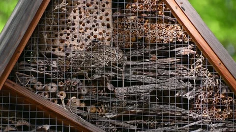 Insects fly in and out of the bug hotel. insect house in the park Stock Footage 331247368