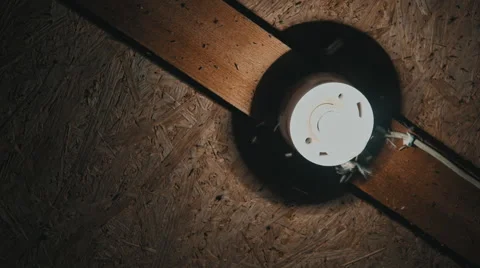 Insects fly to the light bulbs Vídeo Stock 63758469