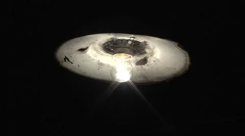 Insects fly into the light. Vídeo Stock 6527202