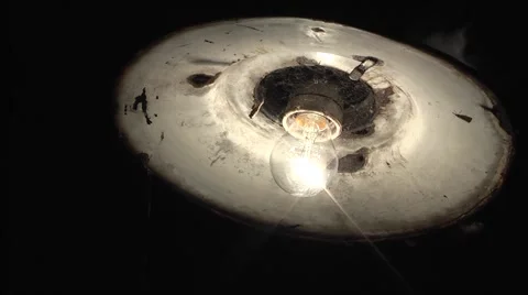 Insects fly into the light. Video stock 6527238