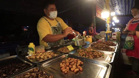 Insects for food Stock Footage 123711825