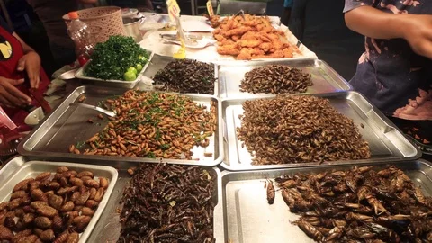 Insects for food Stock Footage 123712365