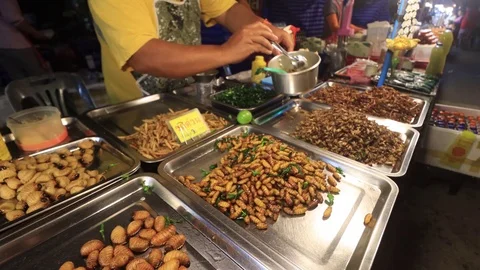 Insects for food Stock Footage 123737880