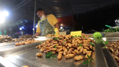 Insects for food Stock Footage 123763884
